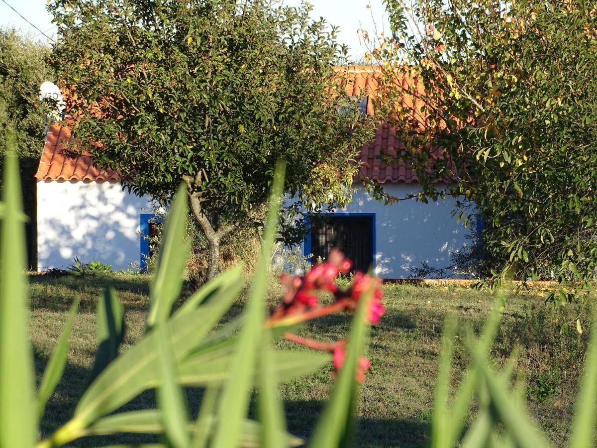 Quinta Das Teimosas By Stay In Alentejo Cercal do Alentejo Exteriör bild